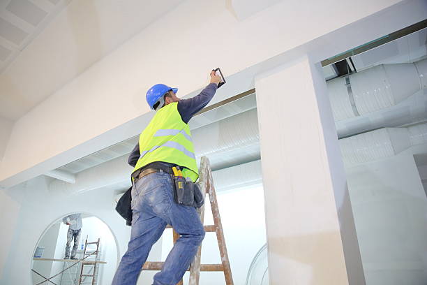 Best Drywall Removal and Disposal  in Cedar Heights, MD